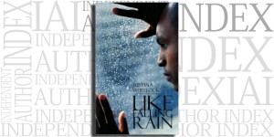 Like Falling Rain by Justina Wheelock on the Independent Author Index