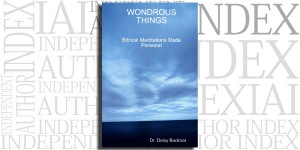 Wondrous Things by Daisy Buckner on the Independent Author Index