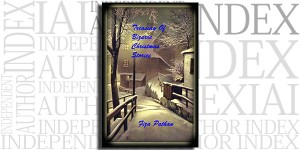 Treasury Of Bizarre Christmas Stories by Fiza Pathan on the Independent Author Index